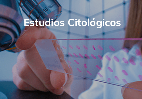 Estudios Citológicos OncoDiagnostic 1